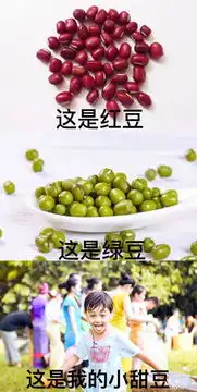 搞笑动态表情包制作表情