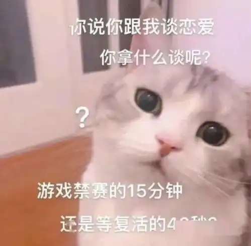 套路你家男朋友的可爱猫猫表情包集锦