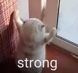 傲娇表情包搞笑沙雕图灵