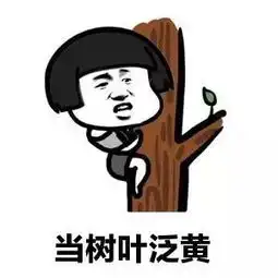 抖音当天气秋凉当树叶泛黄无水印下载抖音当天气秋凉当树叶泛黄表情包高琴完整版极光下载站