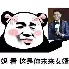 去你的妈的表情包女婿