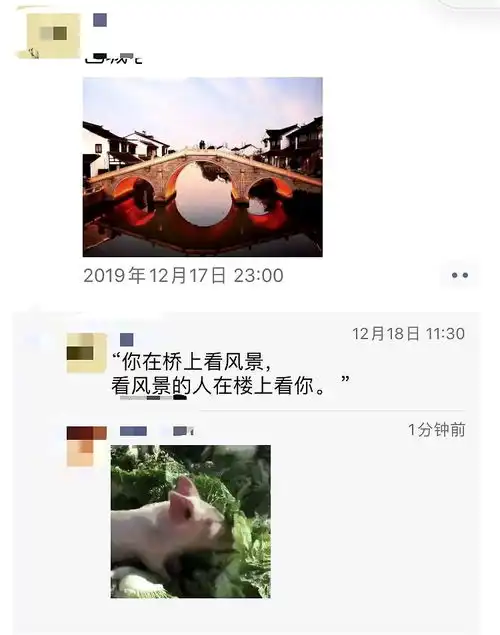 微信重大更新iphone用户收益朋友圈评论能发表情包