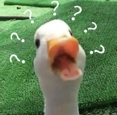 沙雕大合集2.0版本