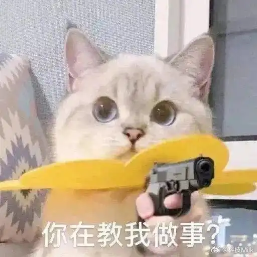 之前还遇到一个大哥用华为pocket2,大哥说挺好用的,折叠起来方便小巧