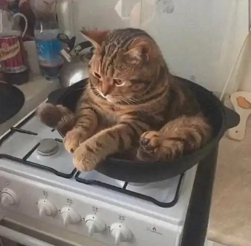 复星医药大涨25,市值一度突破2000亿,复星医药要复兴了