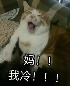 父爱如山新博大替你为老爸备了一份专属定制礼物