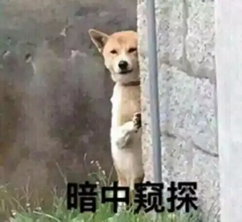 我想要一个干净的背景,而不是遮住了日月的北京