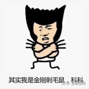 你胸掉了表情包