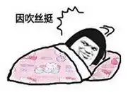 熊猫长太胖是怎样一种体验