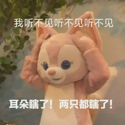 为了去乐园看顶流女明星而不惜装残疾人没门