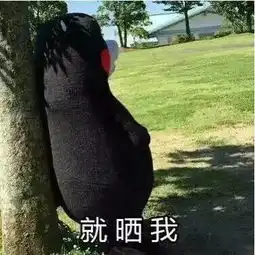 沈阳人要的雨露均沾在这儿呢