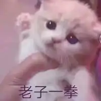 发火表情包搞笑图片表情