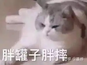 搞笑微信表情包猫咪不开