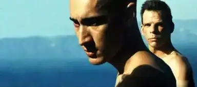 片单去不了上影节的这个夏天,看什么