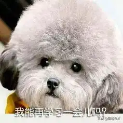 学习专用表情包,学霸学神就进来收图