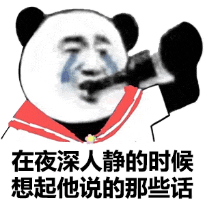 日常沙雕熊猫头表情