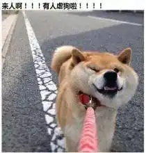 七夕怎么过选对套路,约妞撩汉易如反掌