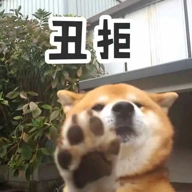 哈士奇柴犬搞笑表情包汪