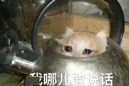 被子图片表情包可爱男人