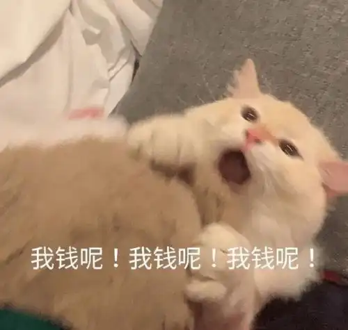 分享你还有钱吃饭吗