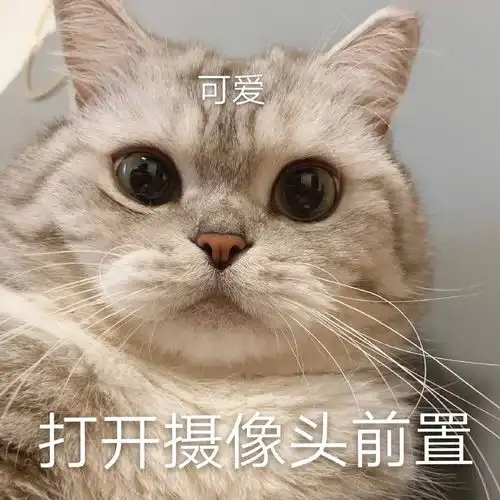 现在草莓到底多少钱一斤呀