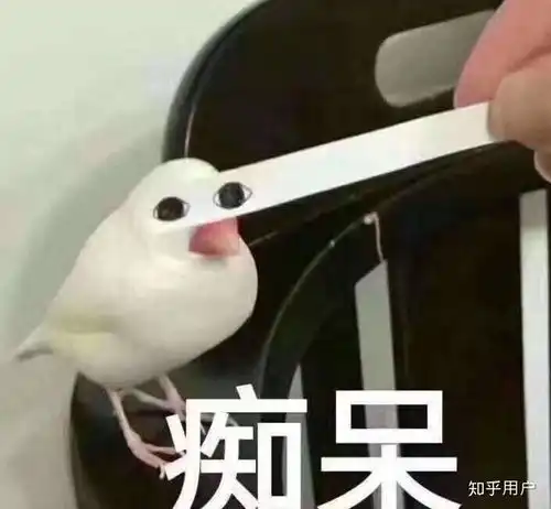 如何看待青岛二中分校