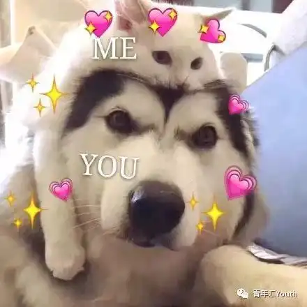 情侣污斗表情包