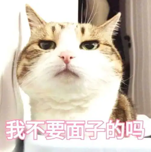 男子带狗狗出门散步,让猫咪照顾小奶狗,回来一看瞬间笑喷了