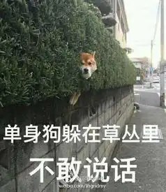 小拳拳被玩坏水浒传版本最泥石流