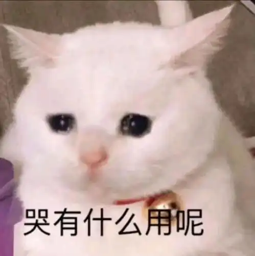 公考行测刷题分数记录一