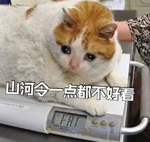 船夫老李大大的侠骨