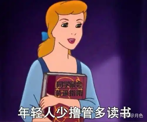 团块块公主表情包读书