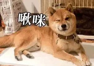哈士奇柴犬搞笑表情包太