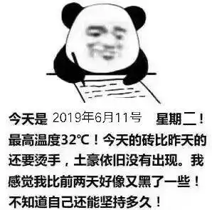 有那些和父母聊天时能用的表情包