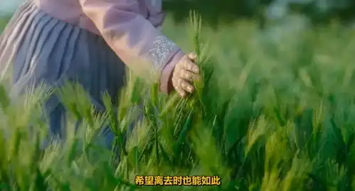 郊游表情包郊游