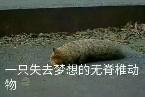 小昕手办追加预售假期有奖征集活动开始