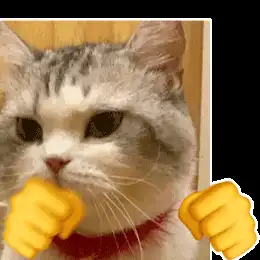 我是皮卡丘弟弟,皮有点痒丨第190期喵表情