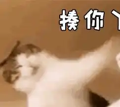 养猫久了才知道,猫咪有这些表现,其实是在忍痛