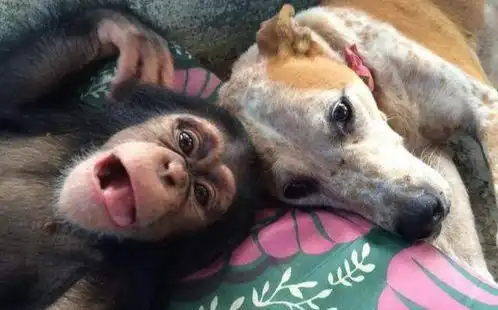 幽默话题集的个人展示页