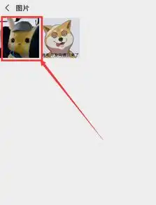 今日头条表情包怎么弄到手机qq微信里,求大神指点