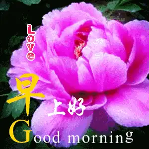 表情微信早晨好图片,微信群发早晨表情动图表情