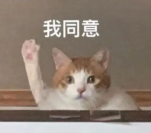 下班了表情包狂奔猫毛
