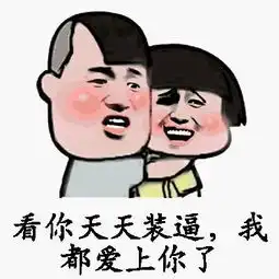 大哥霍皮久系列表情包催