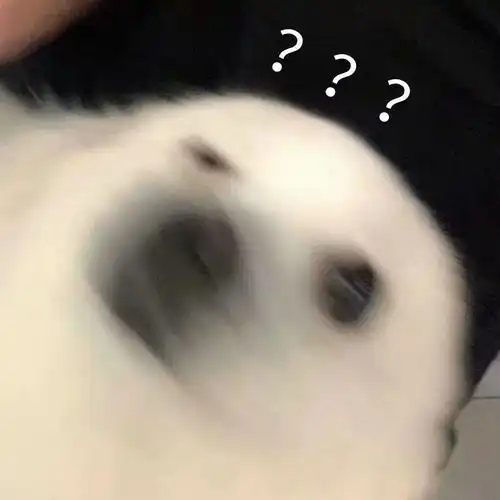 脑子有大病的沙雕句子2.0