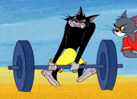 汤姆和杰瑞世界上最长寿的猫和老鼠