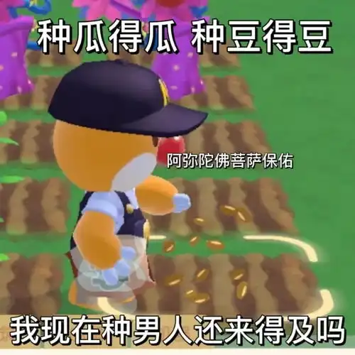 表情包丨超火摩尔庄园表情包