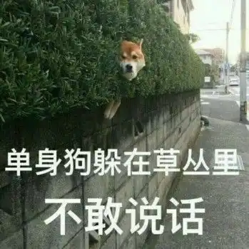 表情包带好安全帽别翻车
