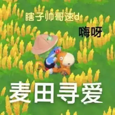 摩尔庄园表情包表情包