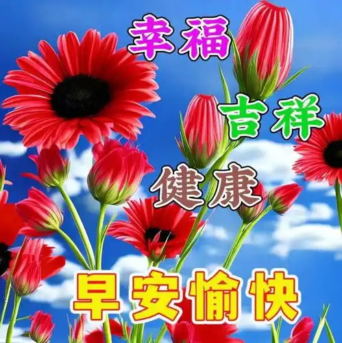 最新版早安问候语短信大全,愿我牵挂的人一生平安,健康百年