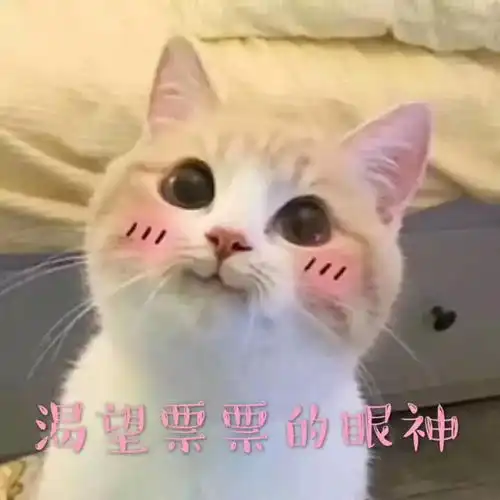 广大票据同胞福利票据表情包大集合我在等一个酷酷的客户